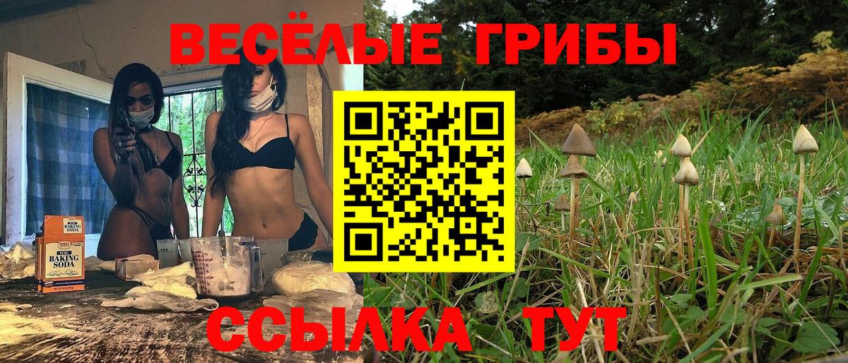 Чита  Галлюциногенные грибы MAGIC MUSHROOMS  Вход с VPN 