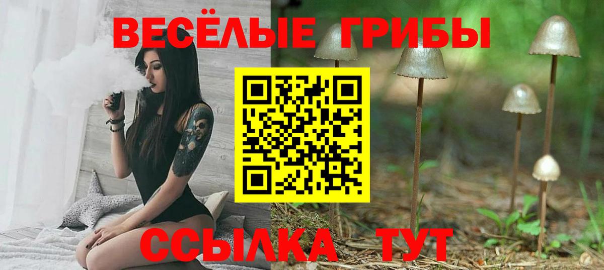 Галлюциногенные грибы GOLDEN TEACHER Чита